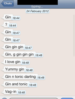 GIN.jpg