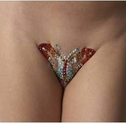 vajazzle1.jpg
